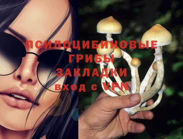 ешки Абдулино