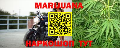 шишки Кудрово