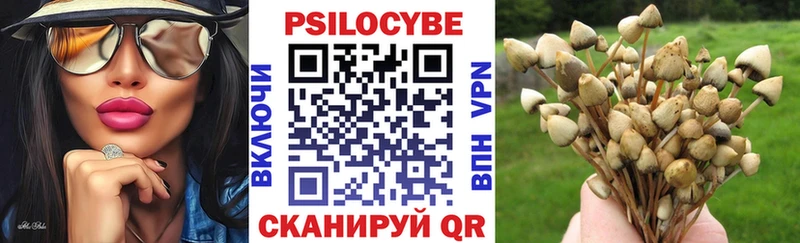 где можно купить наркотик  Урус-Мартан  blacksprut рабочий сайт  Галлюциногенные грибы GOLDEN TEACHER 