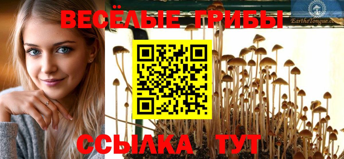 Псилоцибиновые грибы ЛСД  Вход с VPN  Галлюциногенные грибы GOLDEN TEACHER  Урус-Мартан 