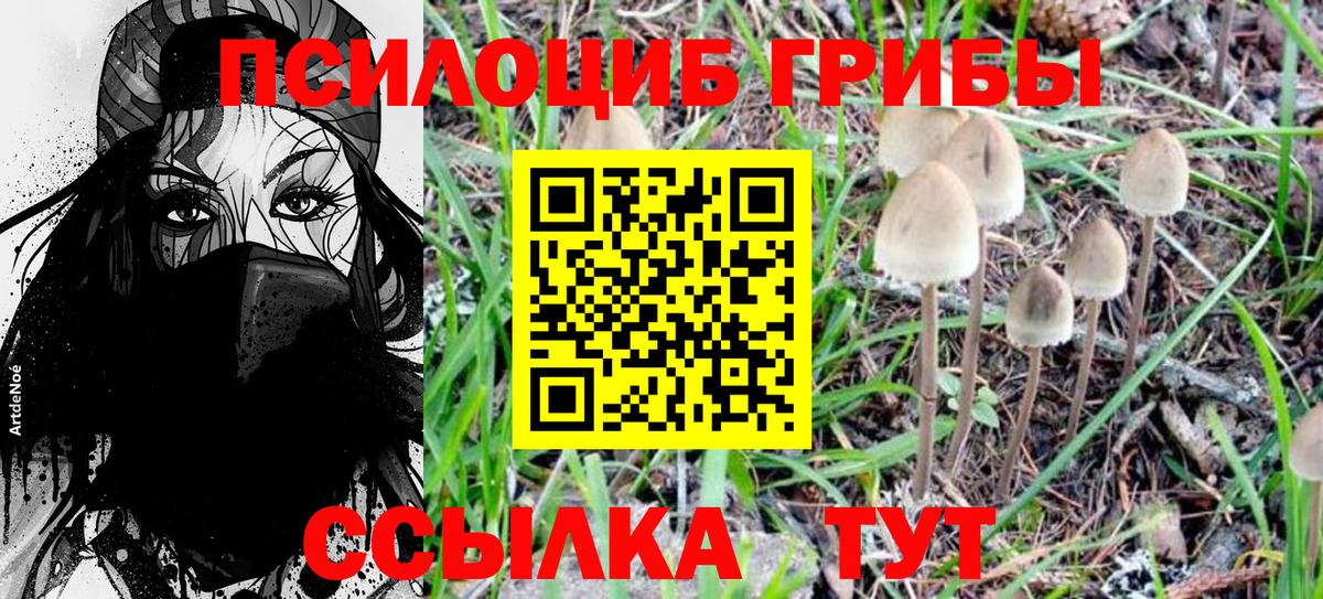 Псилоцибиновые грибы Magic Shrooms Урус-Мартан
